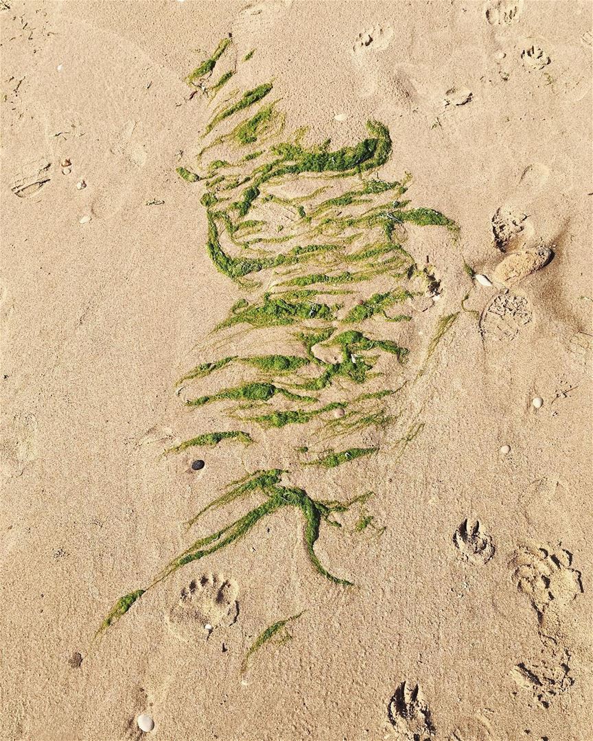 There is no artist more creative than nature 🌊  beach  sun  art  artistic... (Byblos, Lebanon)