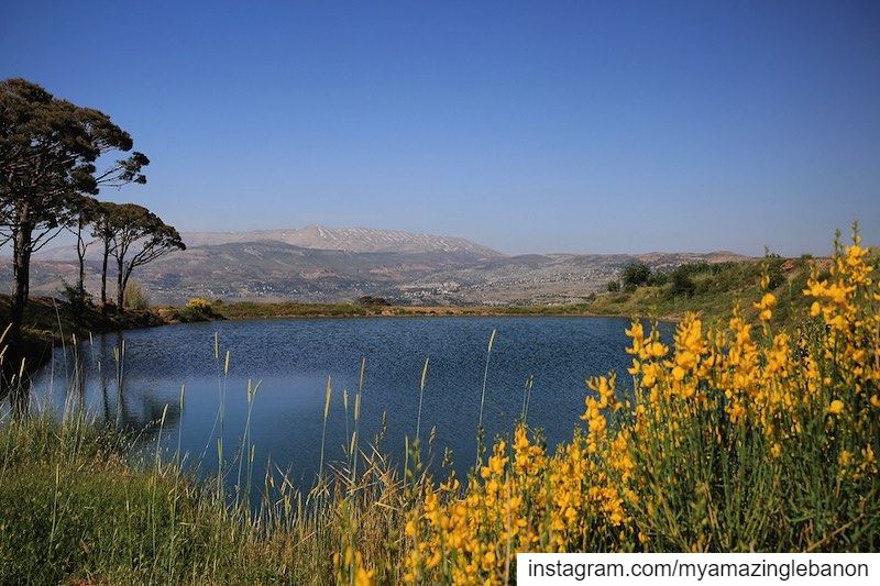 There is no better designer than nature💛🌼 a7labaladbil3alam 🇱🇧...... (Kfarselwan - Mount Lebanon)