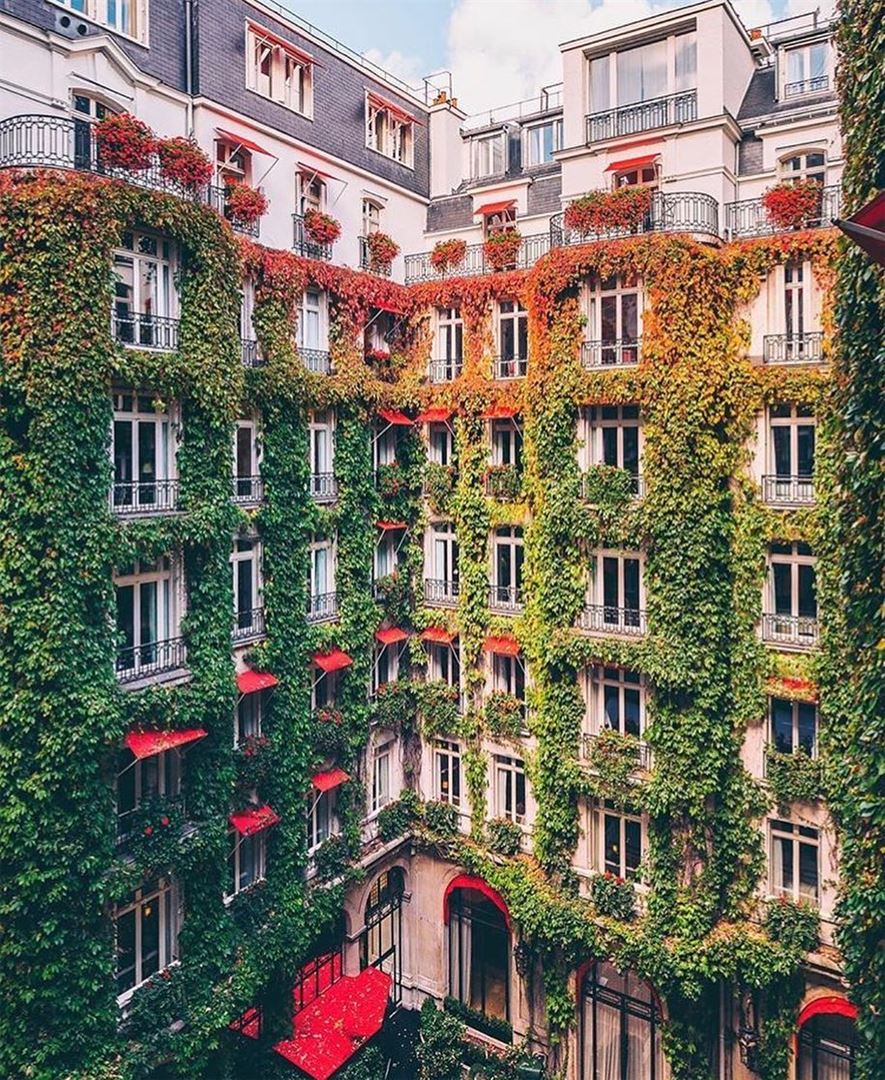 There is no Paris without Plaza Athénée ❤️@plaza_athenee Picture by my fav... (Plaza Athénée)