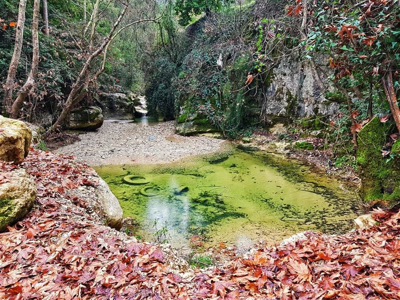 There is no time to b bored in a  lebanon like this 💆‍♀️... (Baakline, Mont-Liban, Lebanon)