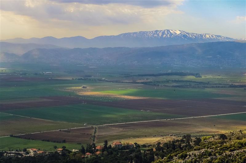 There is no time to be bored in a world as beautiful as this 💚........ (`Ammiq, Béqaa, Lebanon)