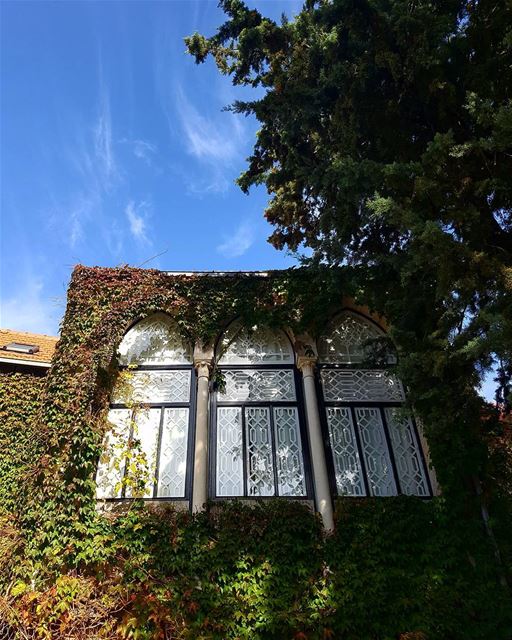 "There is nothing like staying at home for real comfort.".... douma... (Douma, Liban-Nord, Lebanon)