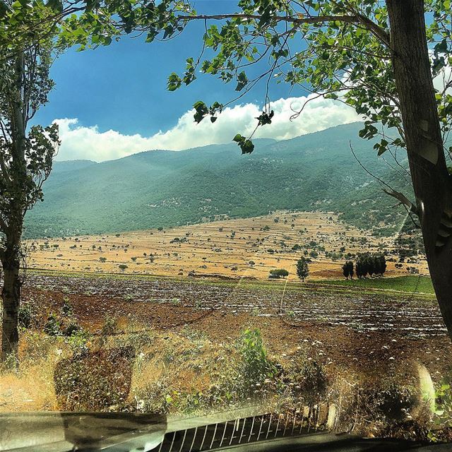 There is something beautiful in everyday ...You just have to find it ...!💚 (Beqaa Valley)