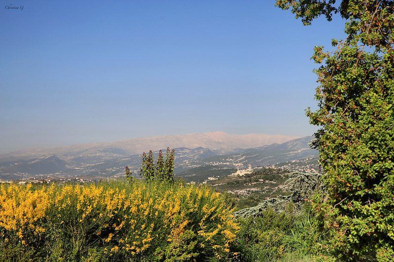 🍃There is something infinitely healing in the repeated refrains of nature... (Batroun District)