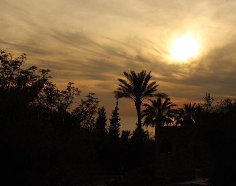 There must be something strangely sacred in salt. It is in our tears and... (Byblos, Lebanon)