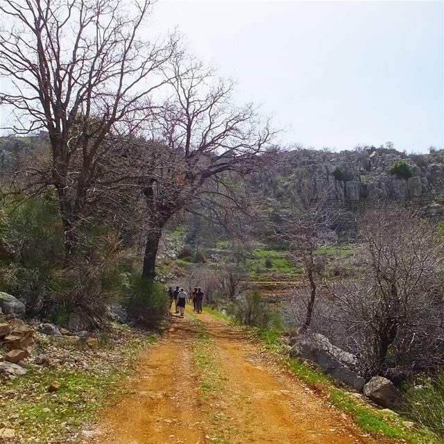 There's is a place where words are born of silence. Rumi .🌲🌲🌲🌲🌲🌲🌲🌲 (Baskinta, Lebanon)