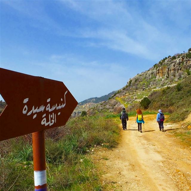 There's is a place where words are born of silence. Rumi .🌲🌲🌲🌲🌲🌲🌲🌲 (Baskinta, Lebanon)