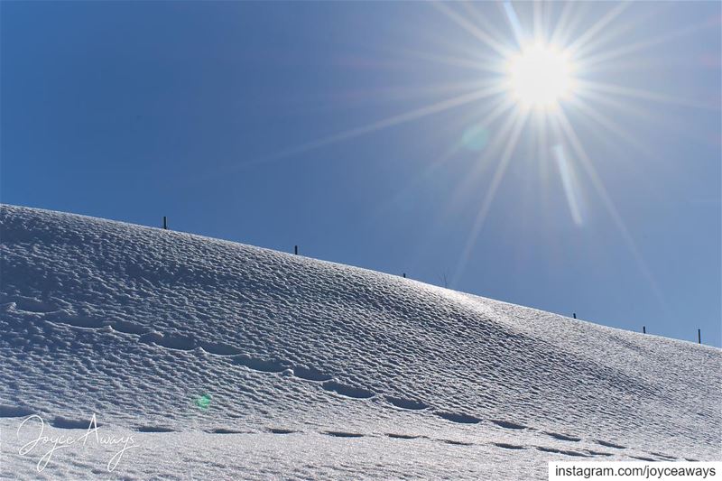 "There's just something beautiful about walking in snow that nobody else... (رعشين Raachine)