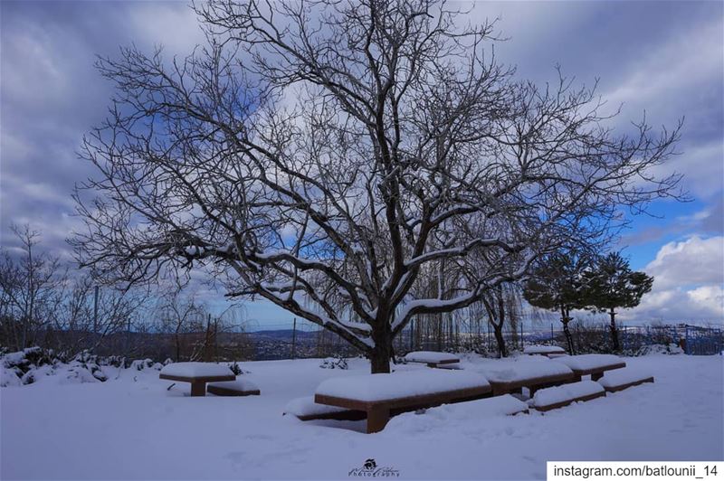 There's just something beautiful about walking in snow that nobody else...