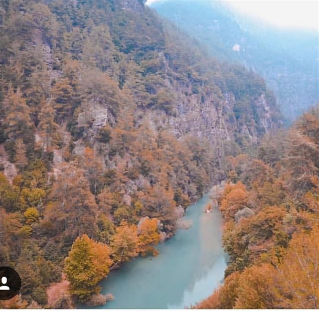 These fall colors...  JabalMoussa@jamie.azarr unescomab  unesco ... (Jabal Moussa Biosphere Reserve)