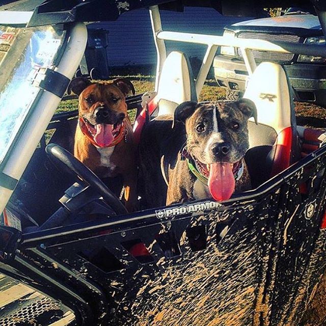 These guys look ready to hit the Trails! trip  letsride  hmf  warnwinch ...