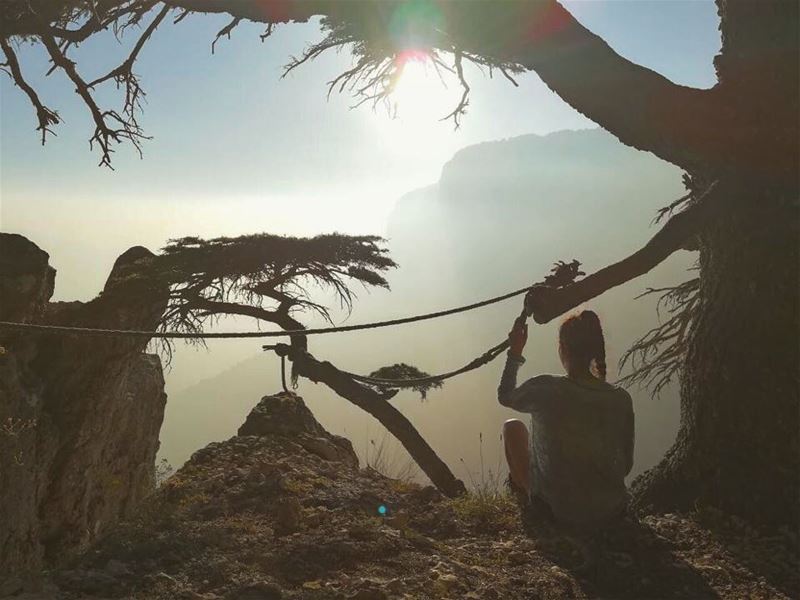 "These mountains that you are carrying, you were only supposed to climb." ~ (Arz Tannoûrîne)