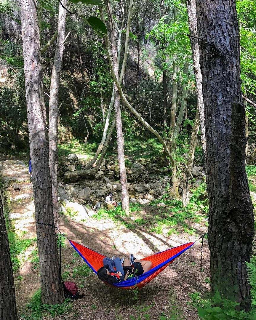 These trees were definitely made for a hammock😋  HikeMen3alli2📸 by @haig