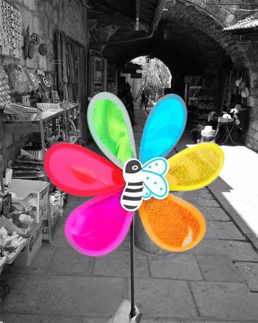 "They are all black and white and she is color. She is all my colors." (Byblos, Lebanon)