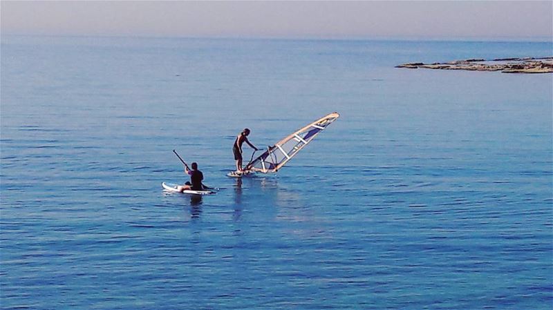 They are taking vitamin SEA 🌊🌊🌊  Batroun  Lebanon  Lebanese ... (CNRS- National Center for Marine Sciences)