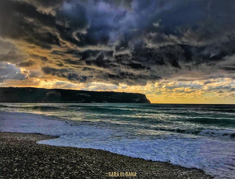 They escape the storm, while I wait for it patiently 📸 (Chekka)