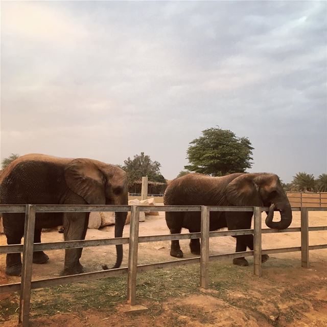 They love chips!! beautifuldestinations  instatraveling  instagood ...