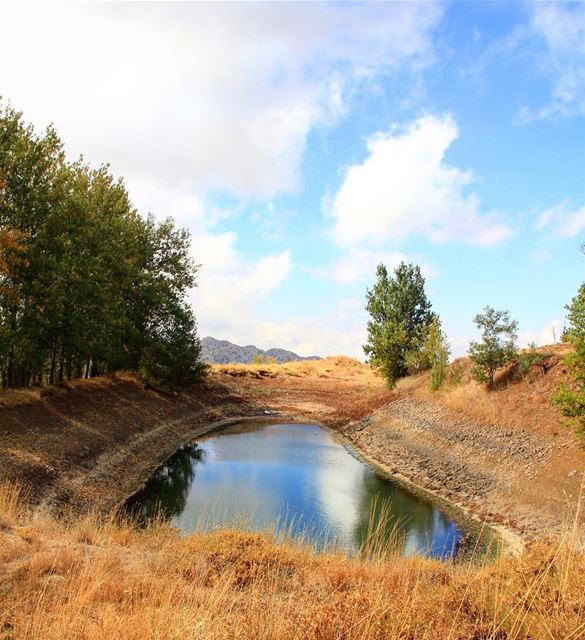 They say home is where the heart is, but my heart is wild and free..... (El Laklouk, Mont-Liban, Lebanon)