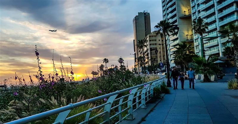 They think she distracts sights & vision..I say she captivates Souls..... (Beirut, Lebanon)