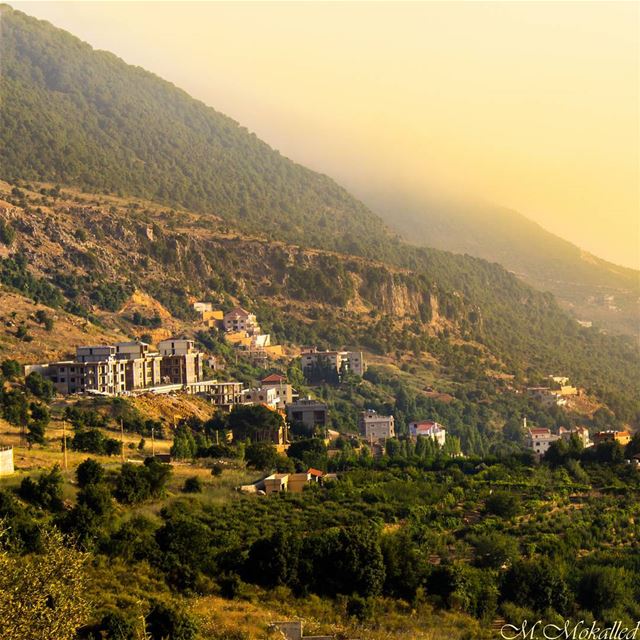 Think as a wise man but communicate in the language of the people. ©... (Zhalta, Al Janub, Lebanon)