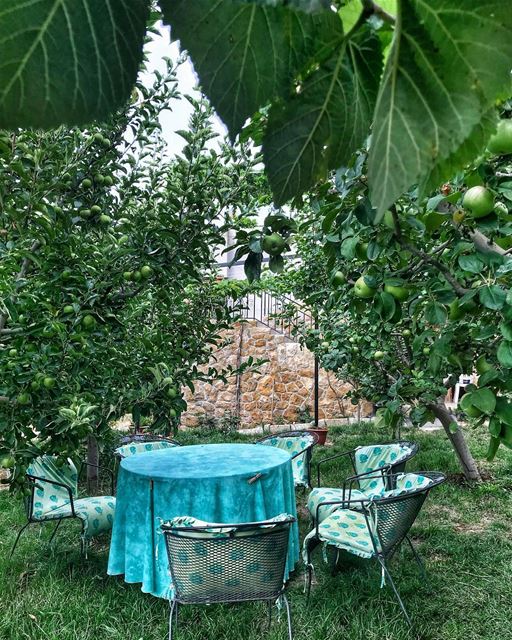 Think Green 🍏🍃🍏... green nature lebanon summer vacation apple... (Lebanon)