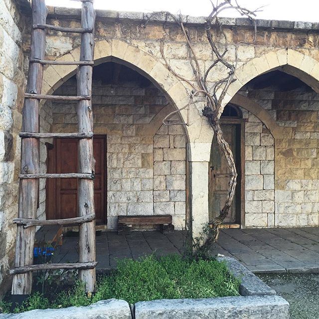 This "3ariche" has tied the knot with this gorgeous abandoned house 🌱 (Baabdâte, Mont-Liban, Lebanon)