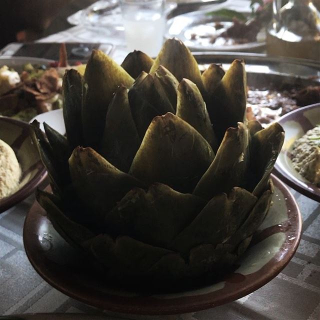 ~..This Artichoke..~🌮  loveoffood  lustforlife  thewayyouread ... (Al-Shir)