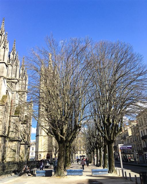 This city has something special  Bordeaux ... (Cathédrale Saint-André de Bordeaux)