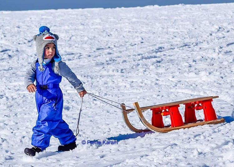 this  cute  kid  is  very  serious  about  going  to  play  snow  sleigh... (Tanourine)