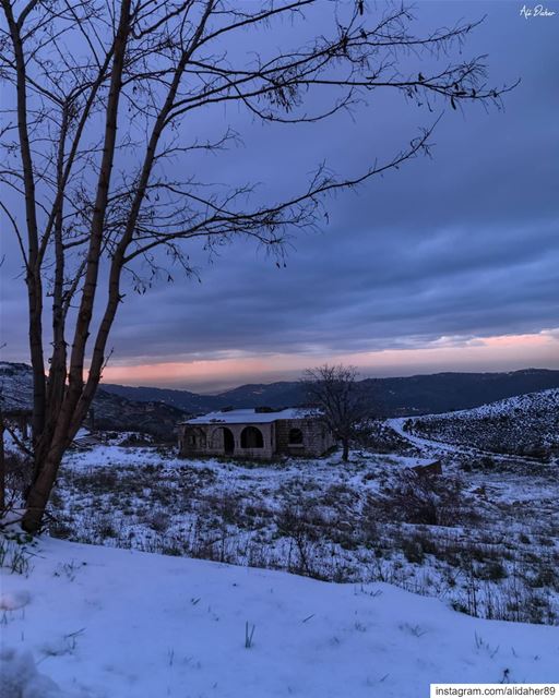 This house is standing on memory alone ❄️✨..... landscape... (Hammana)