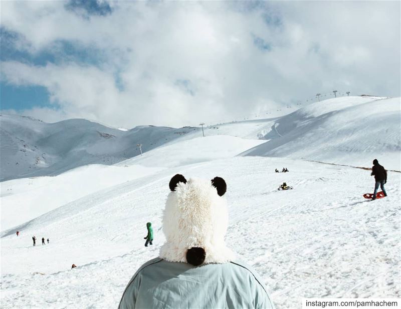 This is a Panda's world 🐼❄📸 @eliemassoudd .. Lebanon  lebanon_hdr ... (Lebanon)