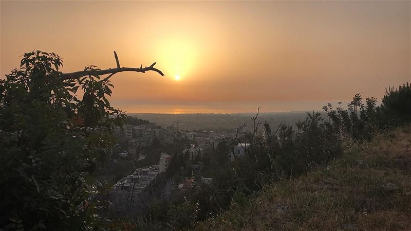 This.Is.For.Me🔥🌿🇱🇧  morenature  sunset  strength  baabda  wild  free... (Baabda District)