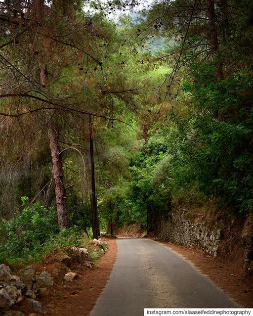 This is Lebanon.هيدا لبنان....📸@alaaseifeddinephotography dubai ... (Mount Lebanon Governorate)