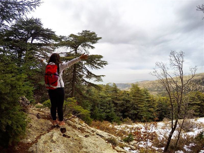 This is my gym  hiking  cedars  lebanon  livelovelebanon ...
