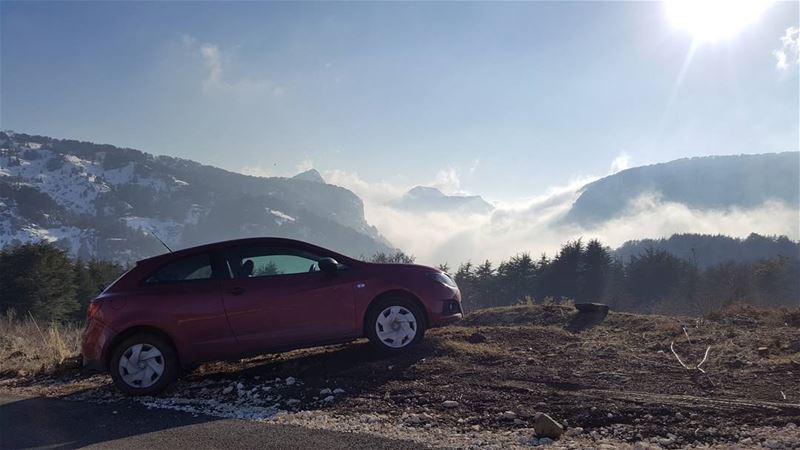 This is not a car ad  seat  ibiza  car  sunset  trees  cedars  bluesky ...