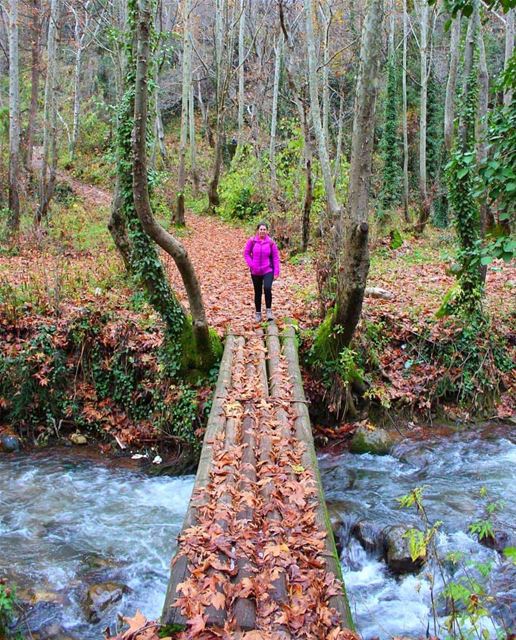 This is not a movie scene from Narnia! It is a hiking trail at the very... (Kadisha Valley)