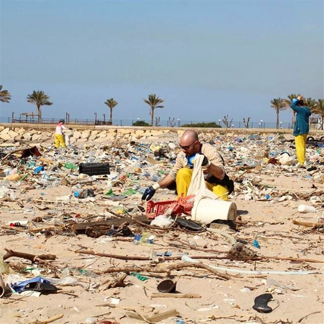 This is the destruction of the Mediterranean Sea ecosystem!! Makes you... (Residence de La Mer)
