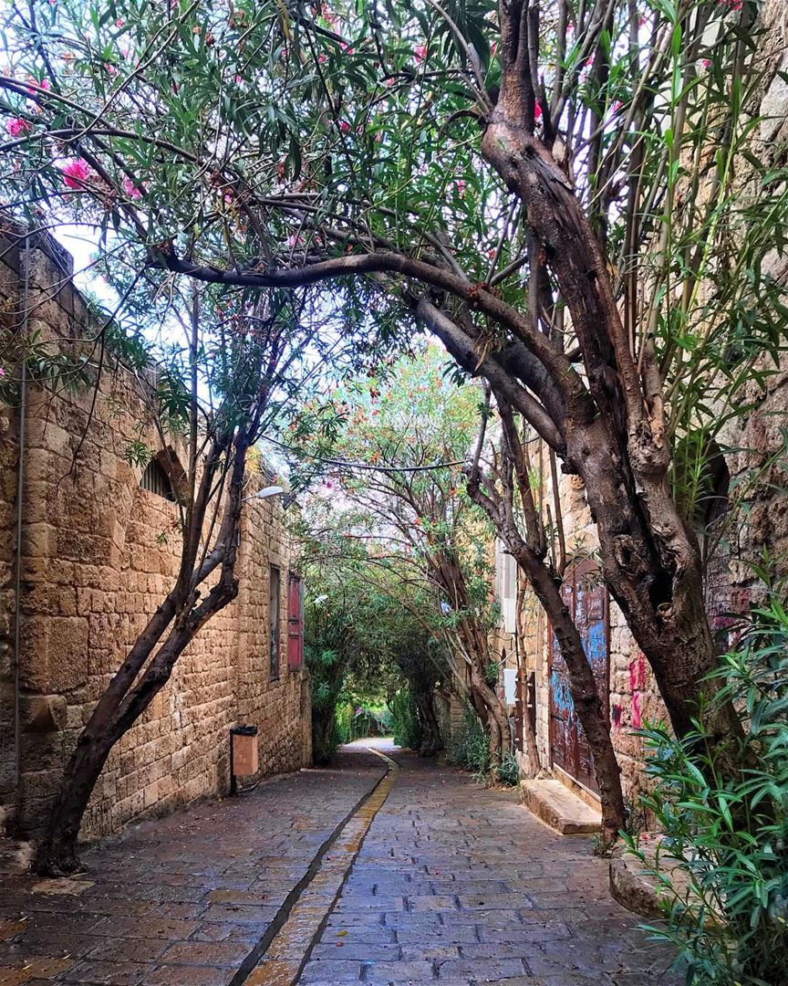 This is the oldest city in the world! My charming Byblos 🍂🍃 (Byblos - Jbeil)