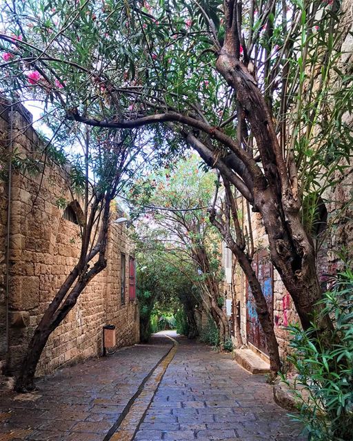 This is the oldest city in the world! My charming Byblos 🍂🍃 (Byblos - Jbeil)