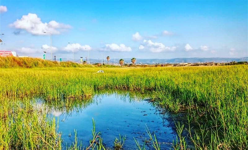 This is Tyre not Switzerland 😎  takenbyme  ptk_Lebanon  visitlebanon ... (Tyre District)