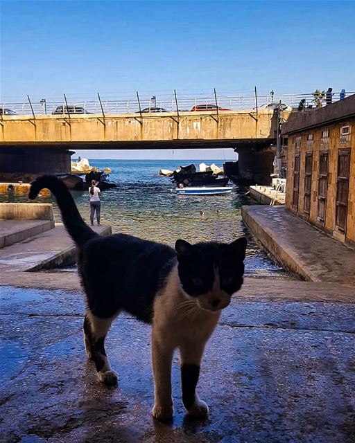 This is where I met genuine fishermen..where I learnt to swim,,Here is... (Ain El Mreisse, Beyrouth, Lebanon)