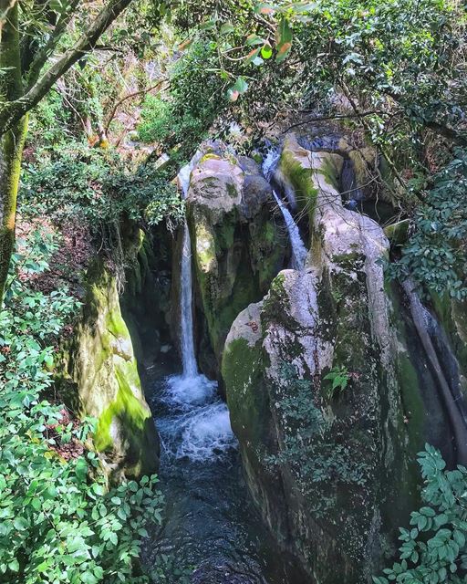 This Sunday, we’ll be doing my favorite trail, Mokhtara⚠️ (read the full... (El-Mukhtarah, Mont-Liban, Lebanon)