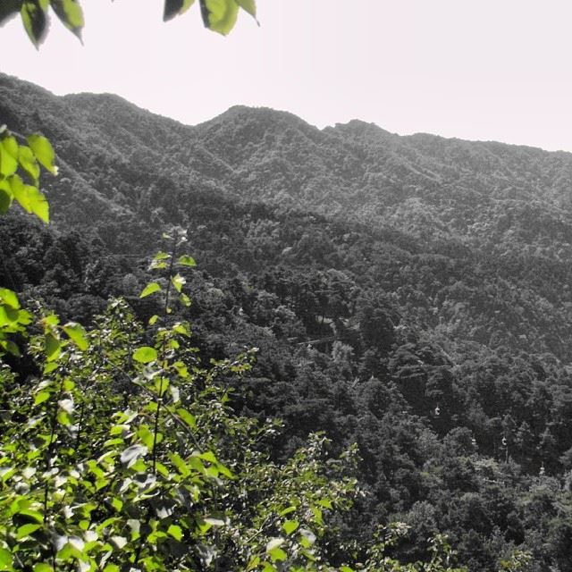 This view was taken from the great wall of China, Beijing   الصين  بكين...