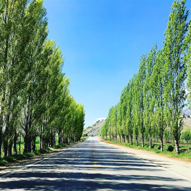 This weekend, go on a road trip. photooftheday  photographer ... (`Ammiq, Béqaa, Lebanon)