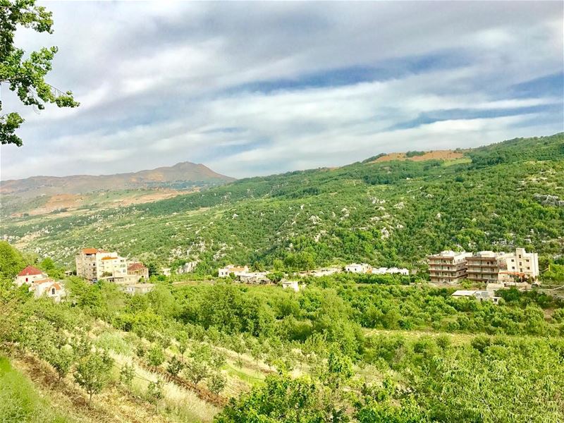 Those natural colors 😍💚•••••••••• goodmorning ... (Mayruba, Mont-Liban, Lebanon)