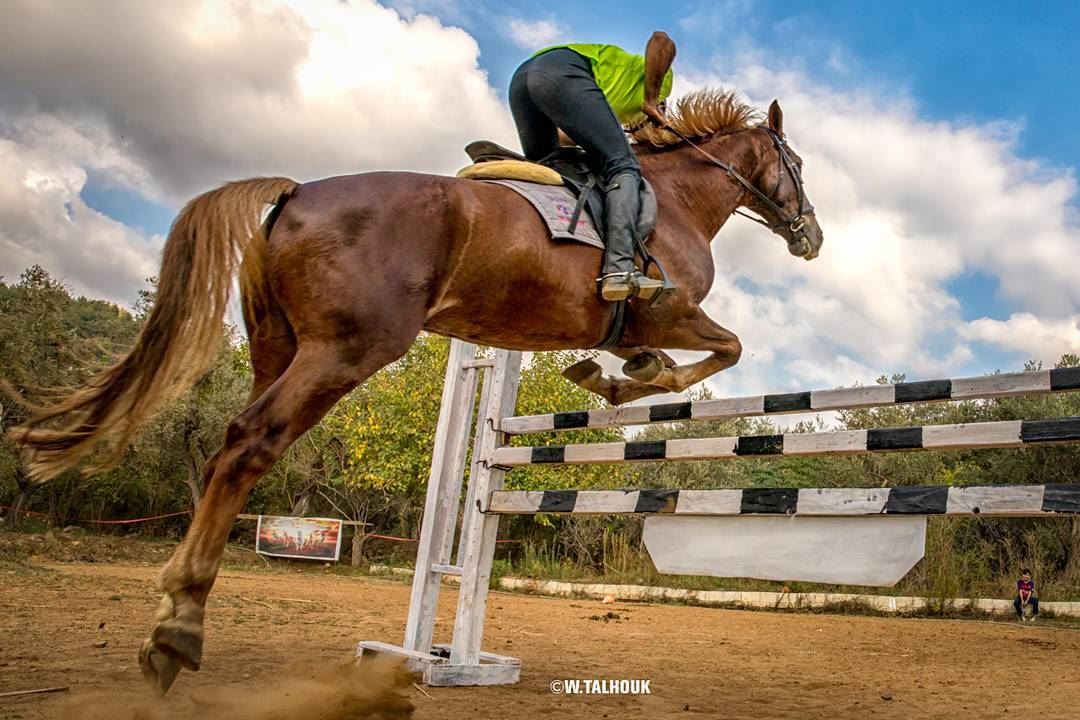 Those who don't jump will never fly... horse  horsebackriding  horsepower... (Al Adham)