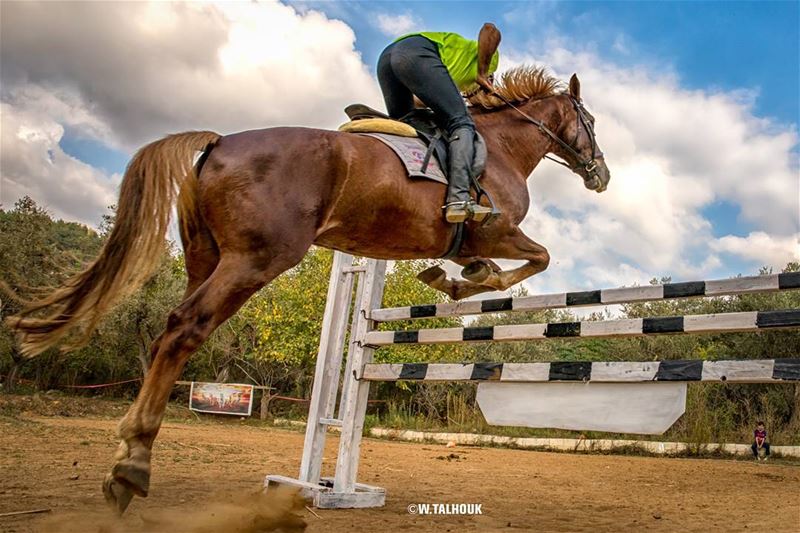Those who don't jump will never fly... horse  horsebackriding  horsepower... (Al Adham)
