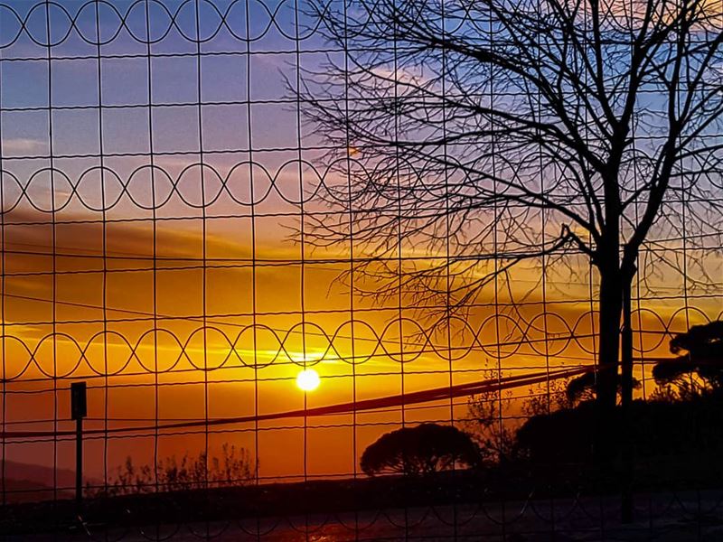 Through the fence  sunset  sunset_ig  ig_sunsetshots  amazing  colors ... (Ferme Mar Chaaya)