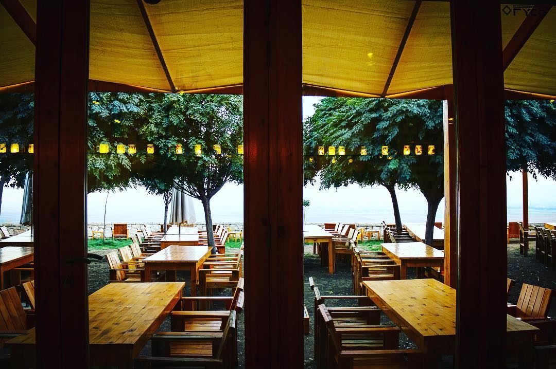 Through the glass doors of this restaurant, I gazed my eyes on its terrace... (Tawlet Ammiq)