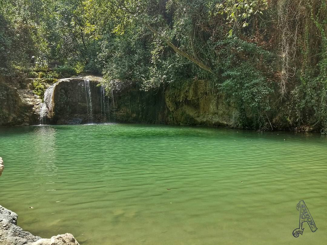 Throwback ➡ A year ago  nature  river  photography  lebanon ... (Jâhlîyé, Mont-Liban, Lebanon)